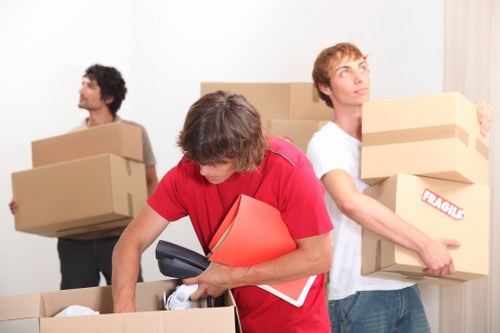 Careful packing and protection for fragile household items